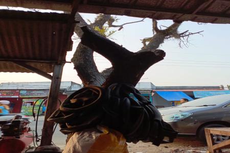 RESPON CEPAT DLHK KABUPATEN LEBAK 