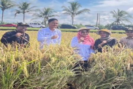 KEPALA DINAS DPKP DAMPINGI BUPATI 