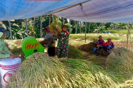 Bulir Padi Pilar Negeri Sinergi Babins